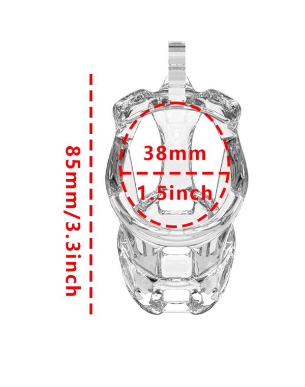 Rimba - Penis Cage PC11 Size S - Clear - Image 5