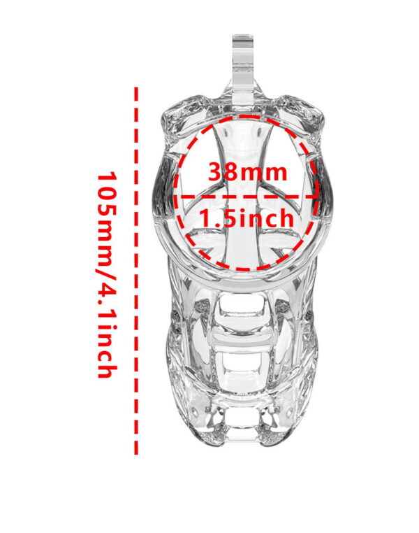 Rimba - Penis Cage PC11 Size L - Clear - Image 5